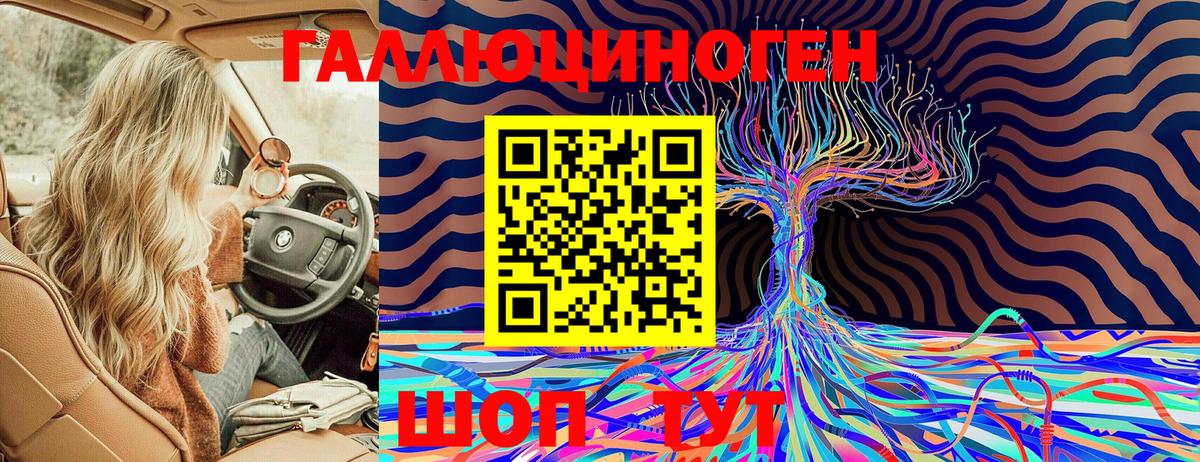 закладка  Галлюциногенные грибы Cubensis  Вход с VPN  Сокол 